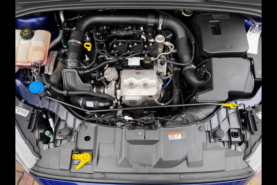 Ford FOCUS Wagon 1.0 Titanium / 125 PK / Trekhaak / Navigatie / Climate Control / Stoel + Stuurverwarming / Park Pilot