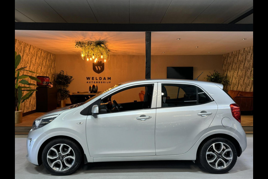 Kia Picanto 1.2 CVVT Garantie StuurVW StoelVW Cruise Clima Navi LED PDC Rijklaar