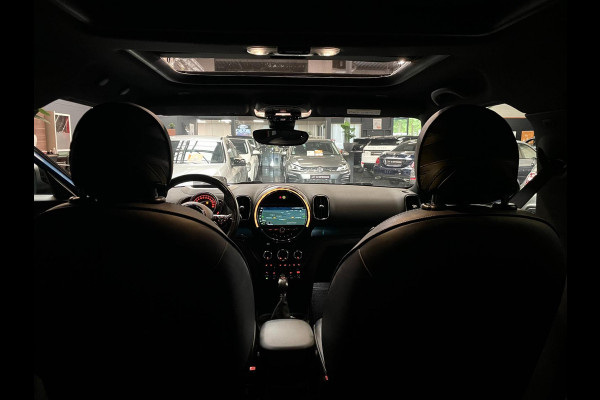 MINI Cooper Countryman 2.0 S E ALL4 PANO NAVI LEER BTW