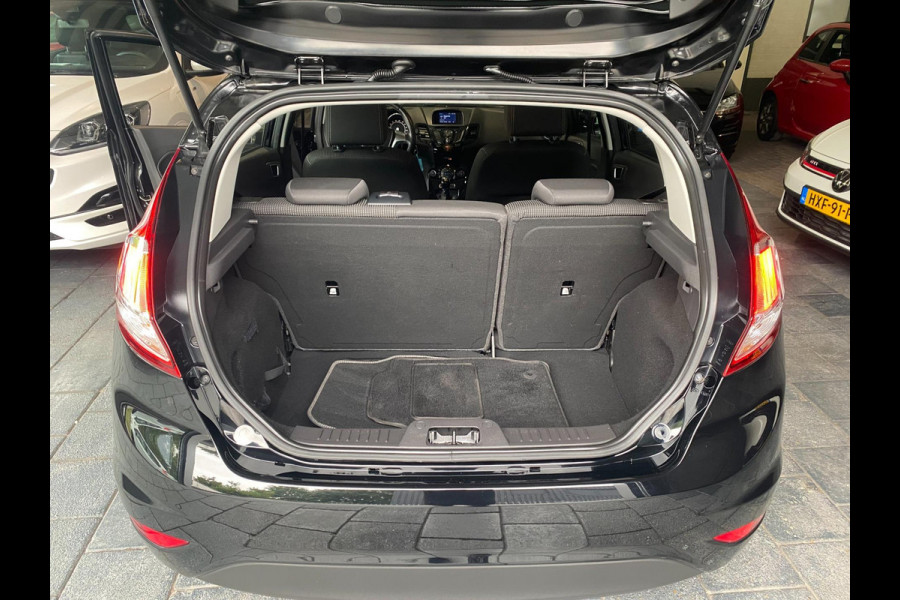 Ford Fiesta 1.0 EcoBoost D.A.B Xenon Clima Stoelverw Blueth KM: 61.800 !!!