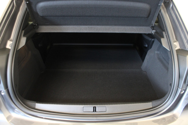 Peugeot 208 1.2 PureTech 100 Active |2-Persoons|