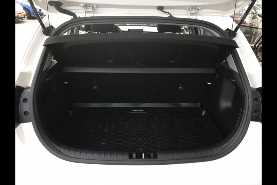 Kia Rio 1.0 T-GDi DynamicPlusLine Automaat 7 JAAR GARANTIE