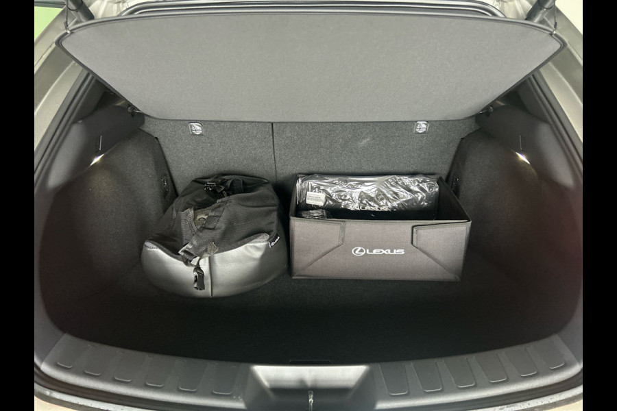 Lexus UX 300e Business Line 73 kWh | Adaptieve cruise control | Achteruitrijcamera |