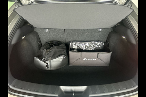 Lexus UX 300e Business Line 73 kWh | Adaptieve cruise control | Achteruitrijcamera |