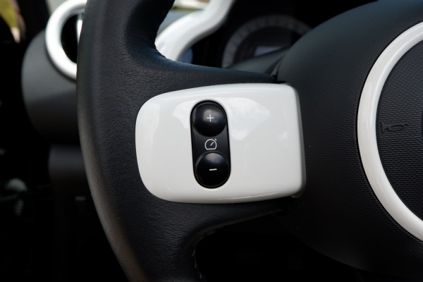 Renault Twingo Z.E. R80 Intens Schuifdak / Rijklaarprijs Incl 12 maanden Bovag