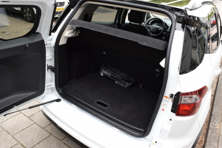 Ford EcoSport 1.0 EcoBoost ST-Line|Winter|Cam.|Carplay