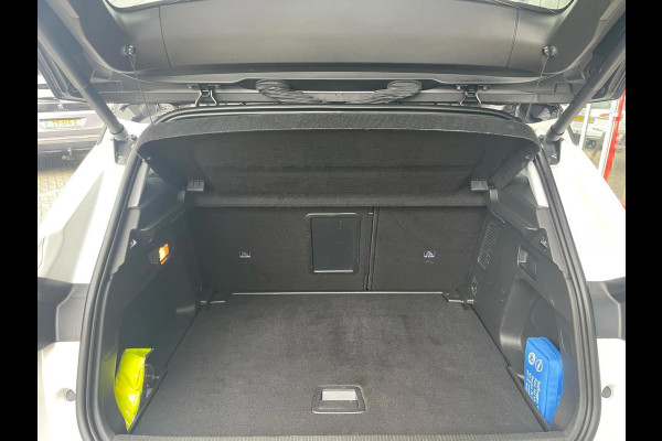 Opel Grandland X 1.2 Turbo Business Executive / camera