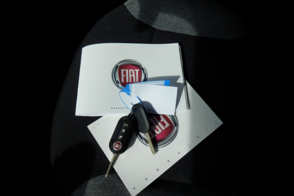 Fiat Panda Hybride | Apple Carpl. / Andr. Auto | 5-zits | ihv best. Stoel |