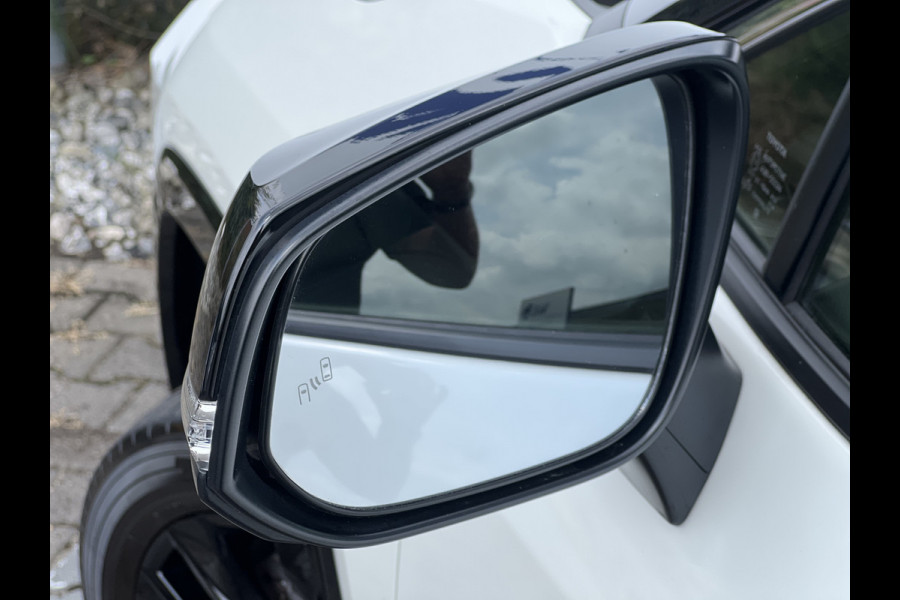 Toyota RAV4 2.5 Hybrid AWD Executive Bi-Tone | Trekhaak | JBL Audio | Camera | Dodehoek