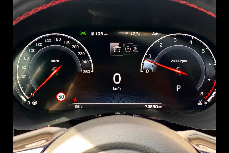 Kia ProCeed 1.6 T-GDI GT Pano/Memory/Camera/Dodehoek