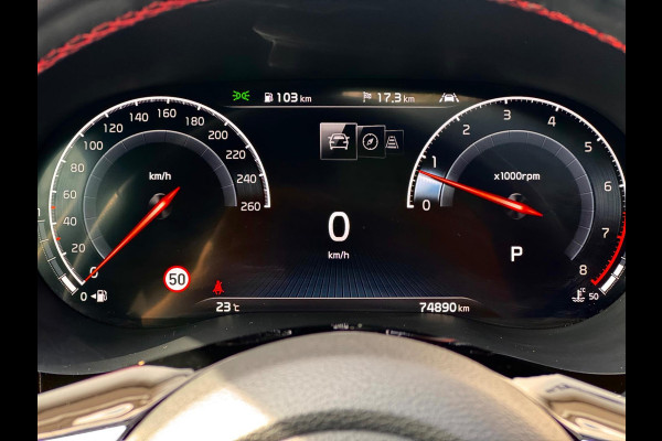 Kia ProCeed 1.6 T-GDI GT Pano/Memory/Camera/Dodehoek