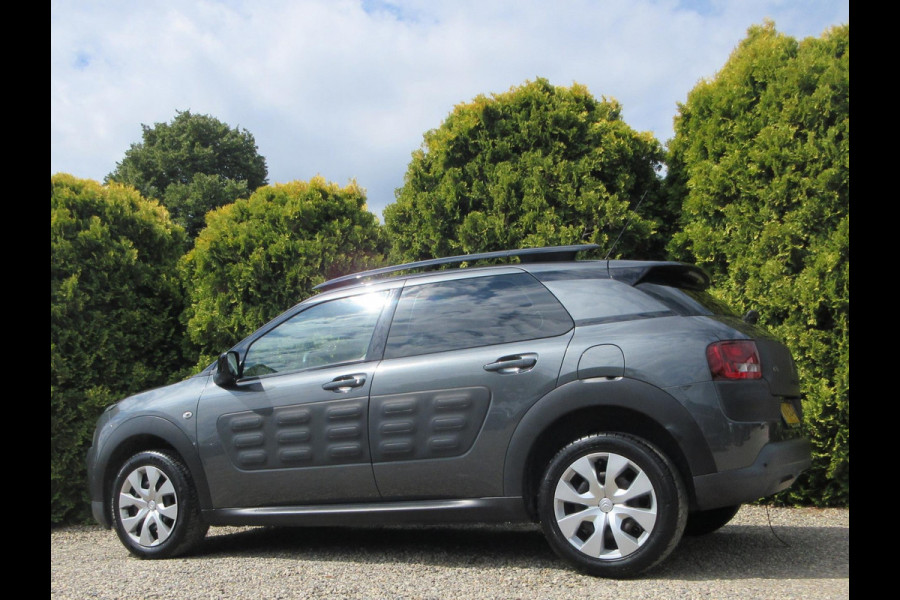Citroën C4 Cactus 1.2 PureTech Business *Navigatie*
