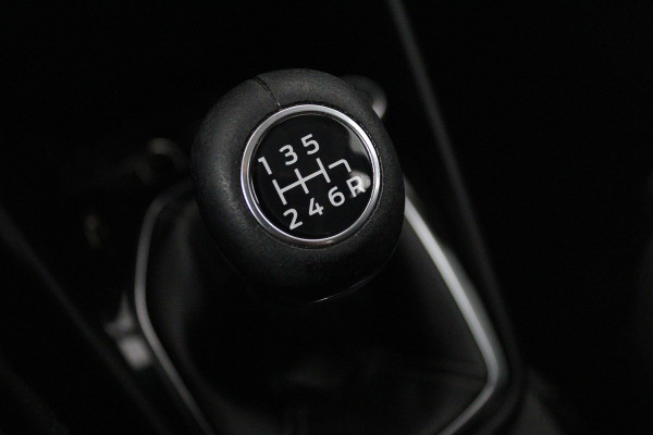 Ford Fiesta 1.0 EcoBoost Titanium (PARKEERSENSOREN, ACHTERUITRIJCAMERA, CRUISE CONTROL, LANE-ASSIST, NL-AUTO)