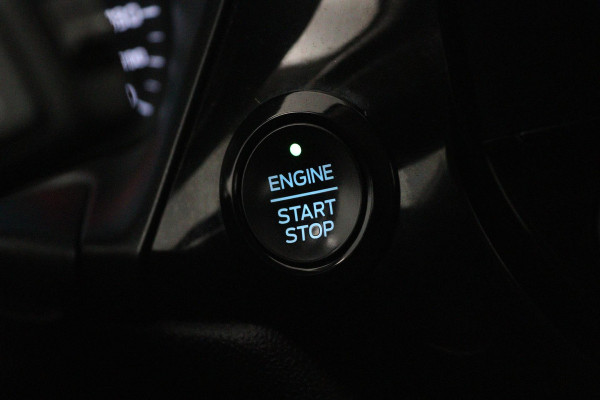 Ford Fiesta 1.0 EcoBoost Titanium (PARKEERSENSOREN, ACHTERUITRIJCAMERA, CRUISE CONTROL, LANE-ASSIST, NL-AUTO)
