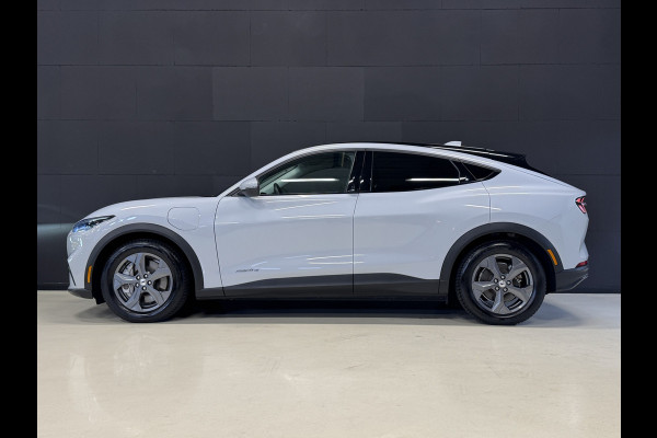 Ford Mustang Mach-E RWD 75 kWh | SOH 93,5% | Camera | Adaptive cruise | Carplay | Leder | Stoel/stuurverwarming