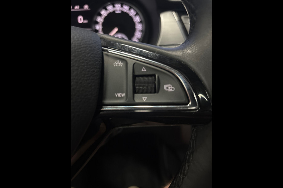 Škoda Fabia Combi 1.0 TSI Business Edition Panodak, Trekhaak, Clima, Navi