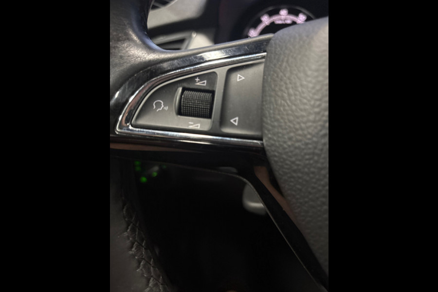 Škoda Fabia Combi 1.0 TSI Business Edition Panodak, Trekhaak, Clima, Navi