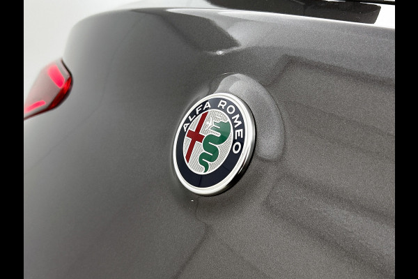 Alfa Romeo Stelvio 2.0 T AWD First Edition(NL-auto, Panorama, Trekhaak, StoelV, Navi, Elektrische Stoelen, Etc)