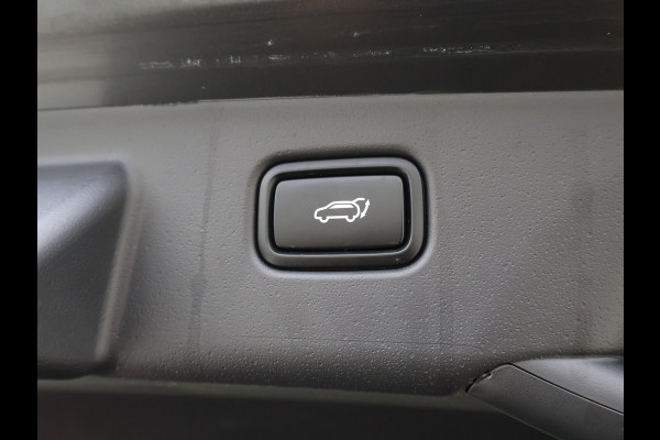 Kia Niro 1.6 GDi Hybrid DynamicLine / CAMERA / NAVI / WINTER PACK / ADAPTIVE CRUISE / ELEKTR. ACHTERKLEP / Carselexy