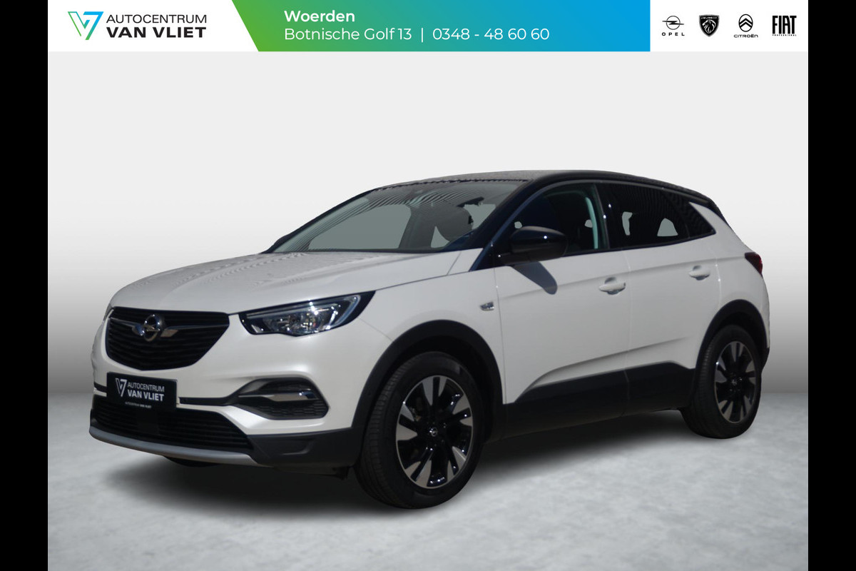 Opel Grandland X 1.2 Turbo Business Executive Trekhaak