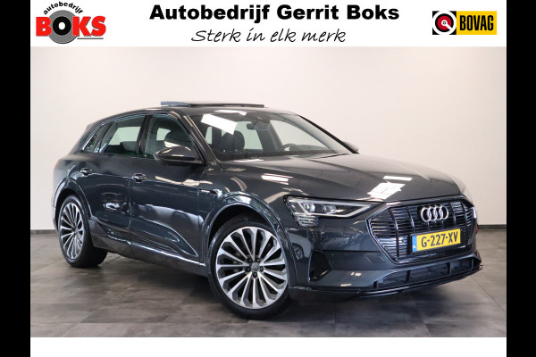Audi e-tron e-tron 55 quattro advanced 95 kWh S-line Panoramadak Leder