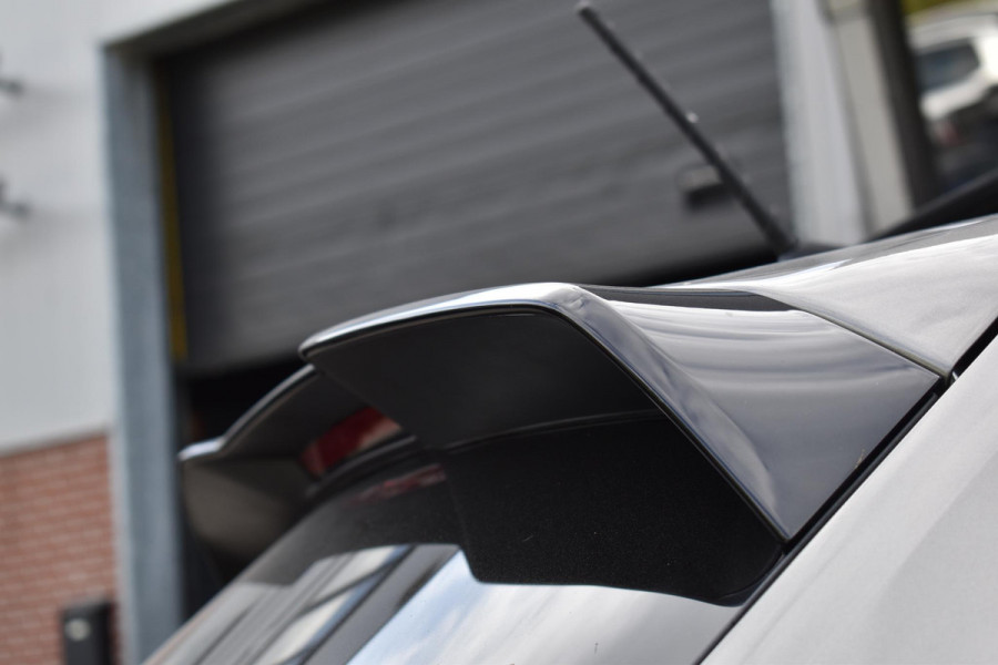 Volkswagen Polo 2.0 TSI GTI Pano DSG Virtual