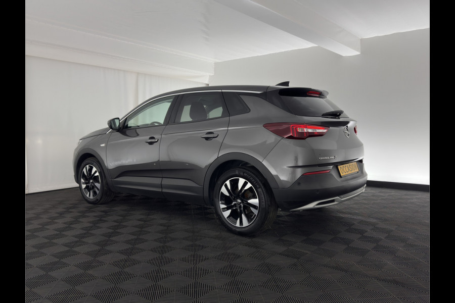 Opel Grandland X 1.5 CDTi Business Edition (INCL-BTW) Aut. *LEATHER-FABRIC | FULL-LED | NAVI-FULLMAP | BLIND-SPOT | HEATED-COMFORTSEATS | CAMERA | DAB+ | ECC | PRIVACY-GLASS | PDC | AMBIENT-LIGHT | CRUISE | 18''ALU*