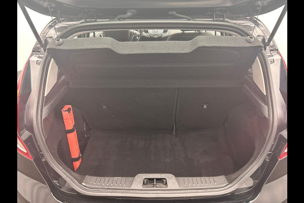 Ford Fiesta 1.0 EcoBoost Titanium Navigatie Origineel NL
