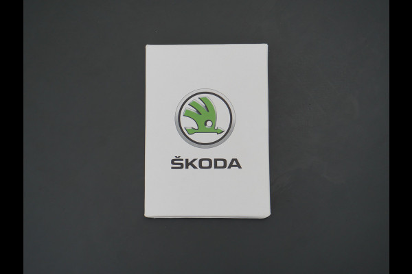 Škoda Kamiq T 111pk Smartlink Usb Pdc CruiseControl Ecc Dakrails Led Lane/Front-Assist Isofix Dab 4xElek.Ramen VerwarmdeSpiegels Aut.Verlichting VerstelbareStoelen/Stuur 16''LM NL-auto Hoge Instap Ambition 1.0 TSI