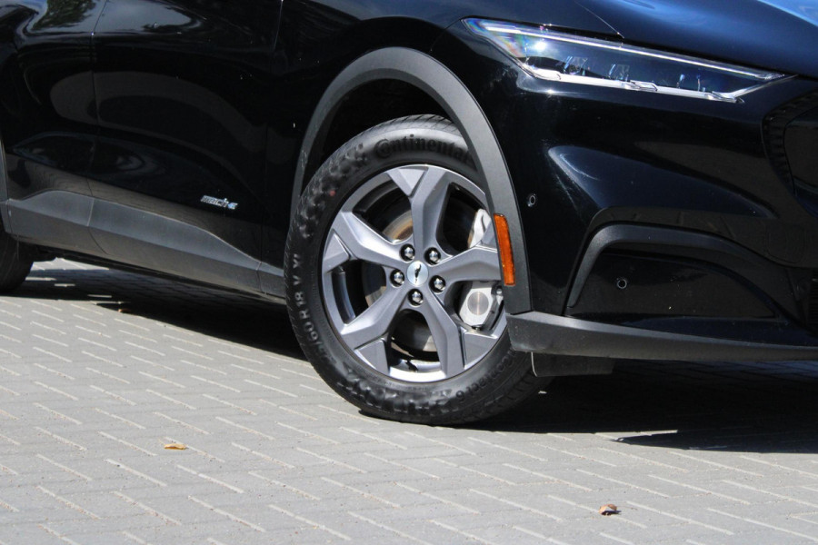 Ford Mustang Mach-E RWD 75 kWh 269pk | Technology Pack + | Adaptieve cruise | Winterpack |