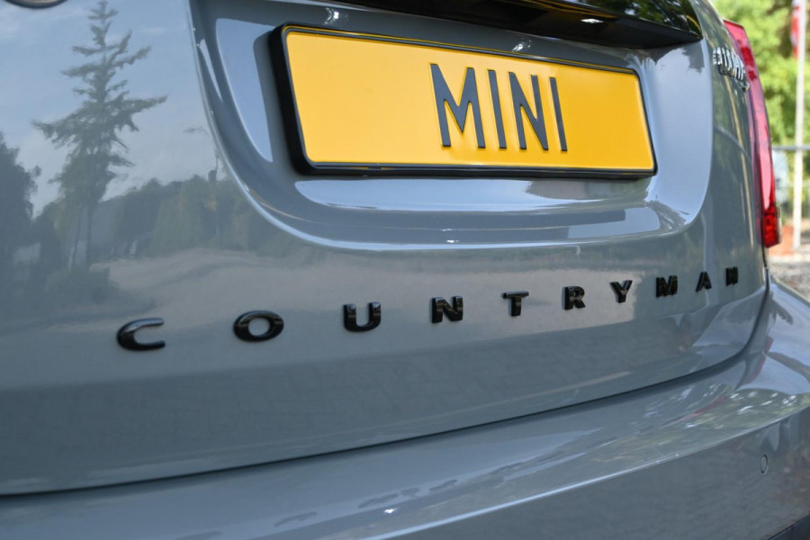 MINI Countryman 2.0 Cooper S E ALL4 BLACK Pano Leder A.Cruise '20