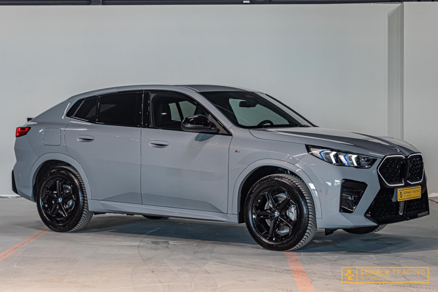 BMW X2 SDrive20i Launch Edition|M-sport|H&K|Memory|E-stoel