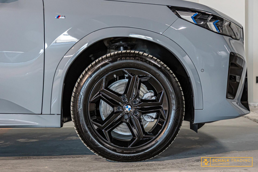 BMW X2 SDrive20i Launch Edition|M-sport|H&K|Memory|E-stoel