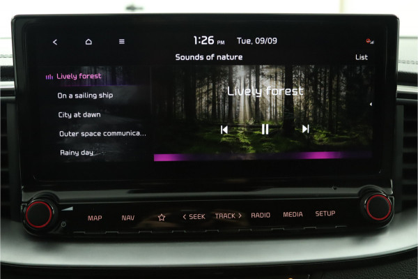 Kia Ceed Sportswagon 1.0 T-GDi DynamicPlusLine - LED - Navigatie - Lichtmetalen Velgen - Cruise Control - Climate Control - Fabrieksgarantie Tot 2028