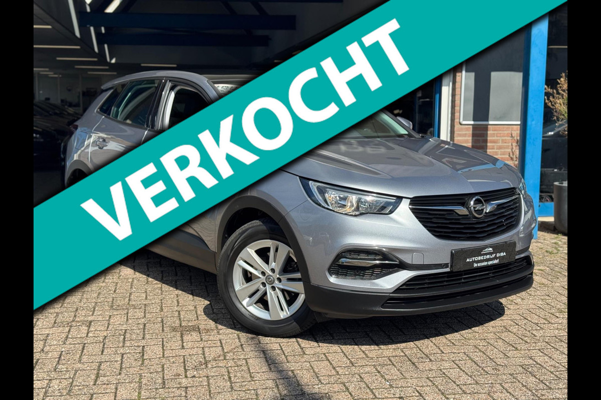 Opel Grandland X 1.2 Turbo Edition 2019 NAVI CAMREA LM NAP!