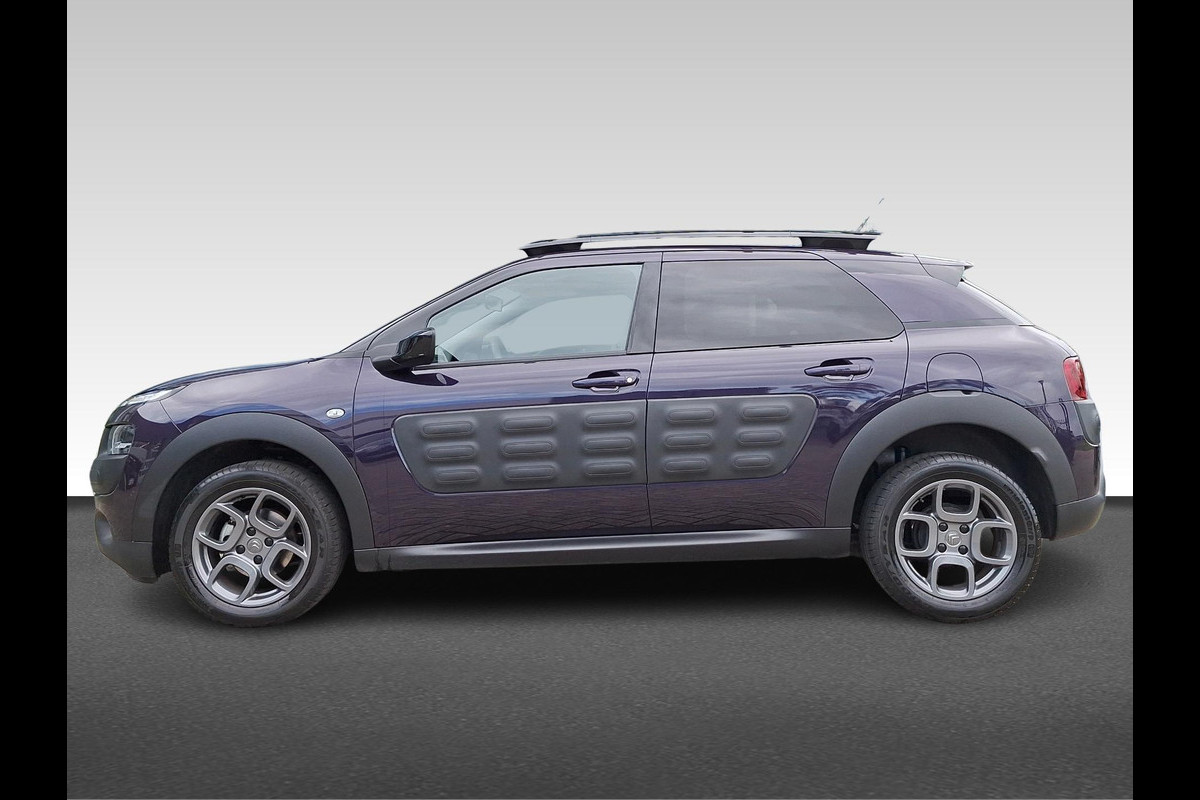Citroën C4 Cactus 1.2 PureTech Business Plus Panorama/Schuifdak | Achteruitrijcamera Citroën C4 Cactus 1.2 PureTech Business Plus Panorama/Schuifdak | Achteruitrijcamera