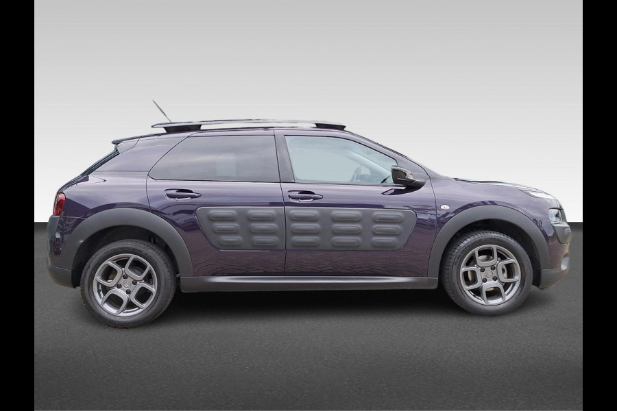 Citroën C4 Cactus 1.2 PureTech Business Plus Panorama/Schuifdak | Achteruitrijcamera