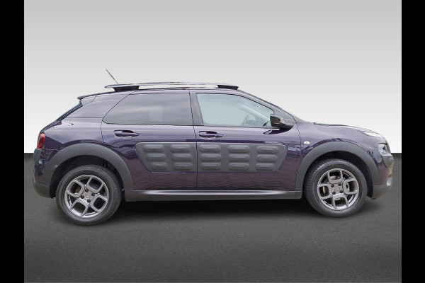 Citroën C4 Cactus 1.2 PureTech Business Plus Panorama/Schuifdak | Achteruitrijcamera