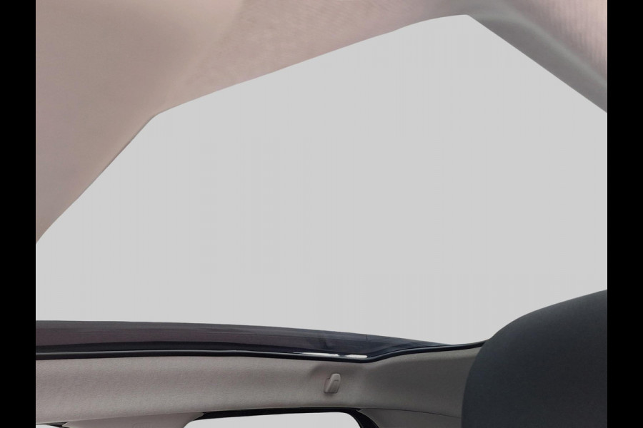 Citroën C4 Cactus 1.2 PureTech Business Plus Panorama/Schuifdak | Achteruitrijcamera