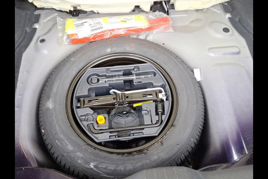 Citroën C4 Cactus 1.2 PureTech Business Plus Panorama/Schuifdak | Achteruitrijcamera