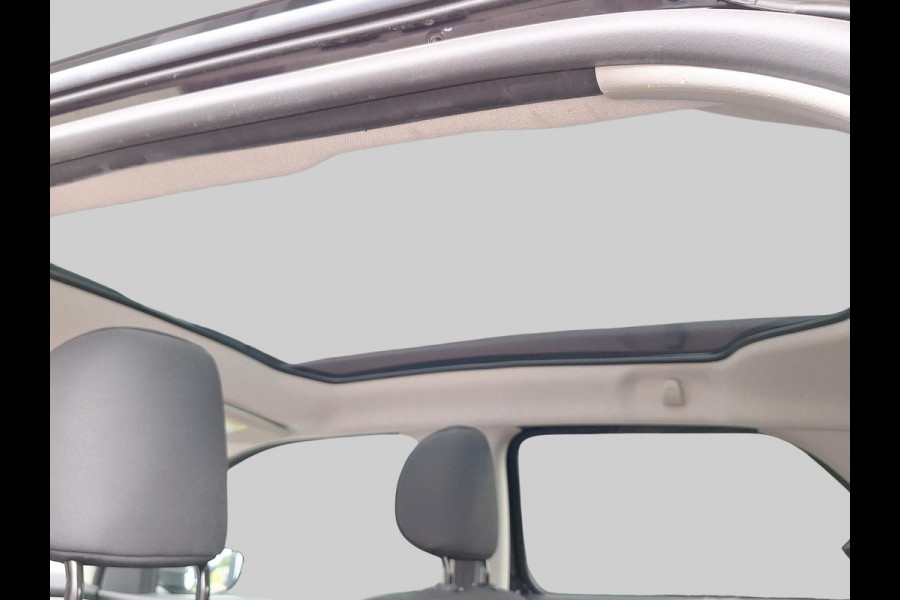 Citroën C4 Cactus 1.2 PureTech Business Plus Panorama/Schuifdak | Achteruitrijcamera