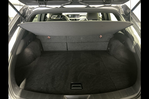 Lexus UX 250h Business Line | Adaptieve cruise control | Achteruitrijcamera | Hybrid!