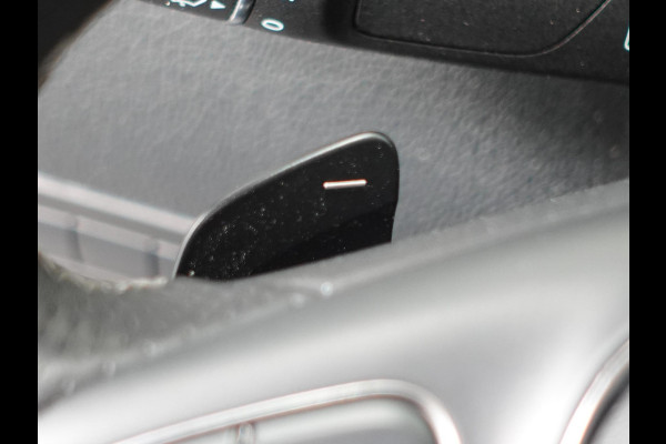 Mercedes-Benz Vito 119 CDI Lang Automaat Airco Bluetooth Camera Trekhaak