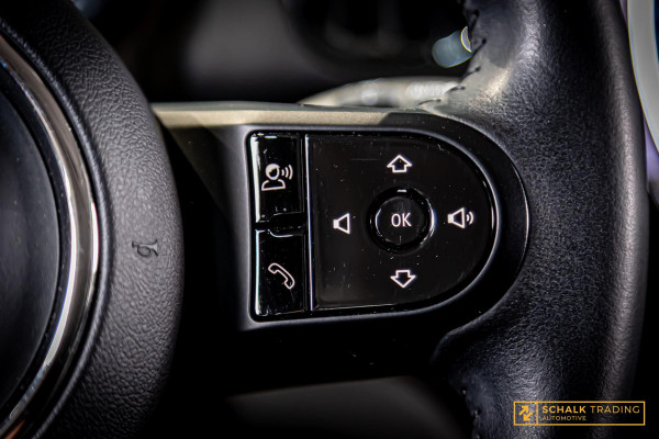MINI Countryman 2.0 Cooper S E ALL4 Classic|HUD|Garanti