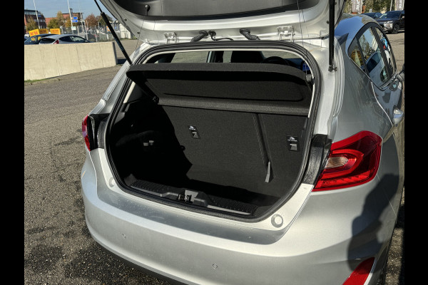 Ford Fiesta 1.0 EcoBoost Titanium Staat in Hardenberg