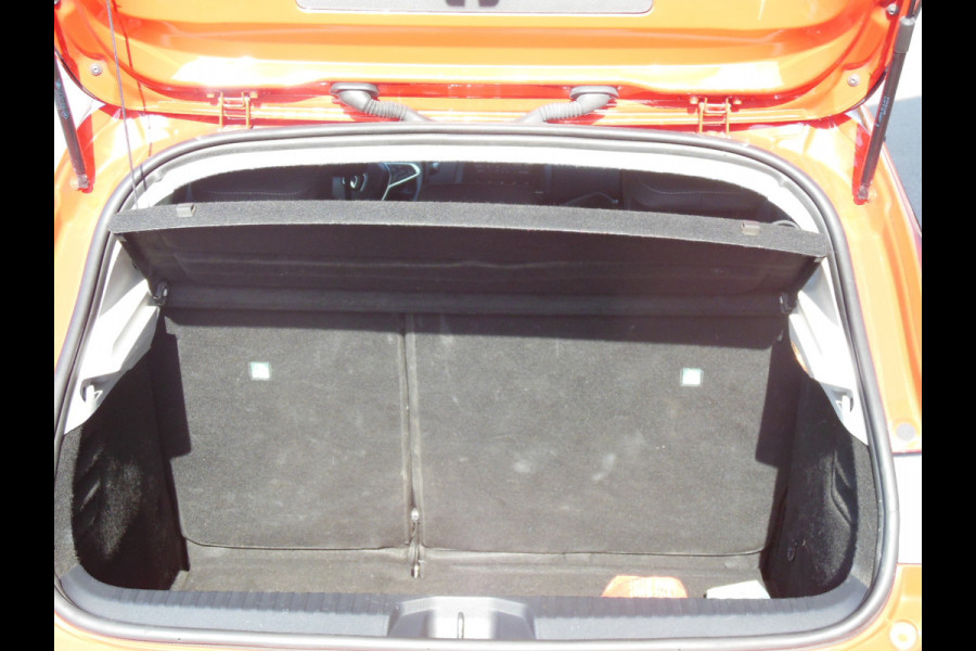 Renault Clio 1.0 TCe Zen Staat in DE KRIM