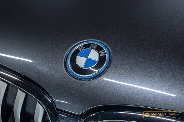 BMW X1 XDrive25e Executive|Leder|Carplay|LED|StoelV|Garantie