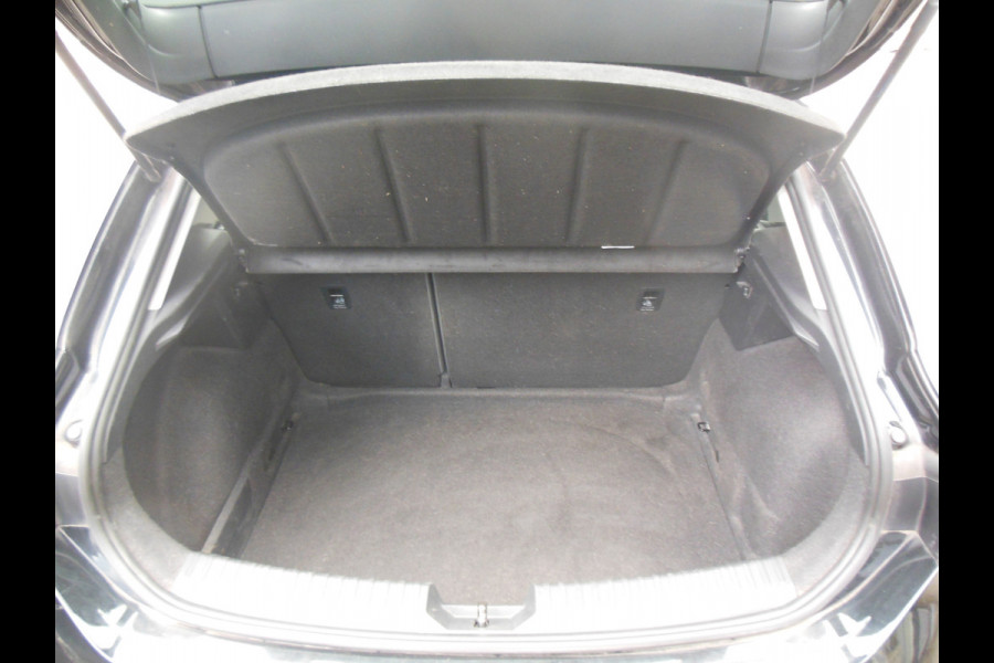 Seat Leon 1.0 TSI Reference Staat in De Krim