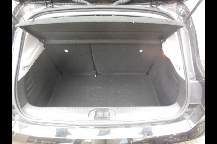 Renault Clio 1.0 TCe Intens Staat in Hoogeveen