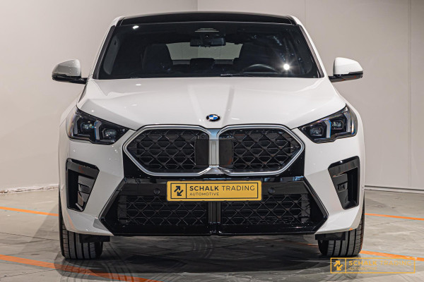 BMW X2 SDrive20i Launch Edition|M-sport|HUD|Leder|Cam|Garant